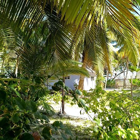 Chez Gigi - Eco Lodge มาอาอวล ภายนอก รูปภาพ