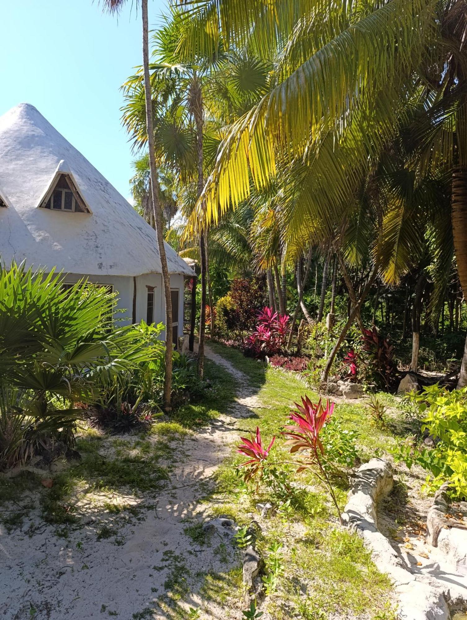 Chez Gigi - Eco Lodge มาอาอวล ภายนอก รูปภาพ