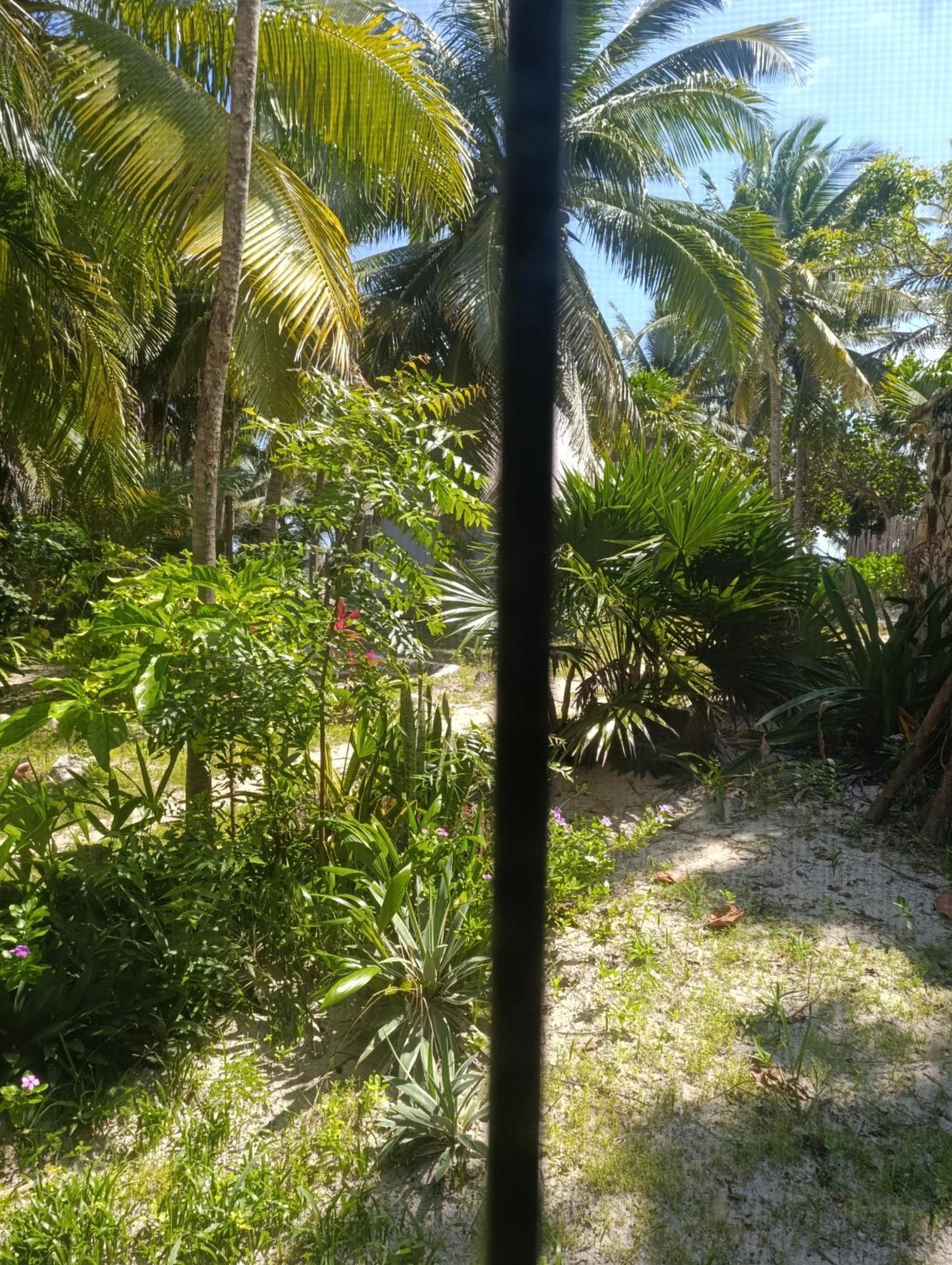 Chez Gigi - Eco Lodge มาอาอวล ภายนอก รูปภาพ