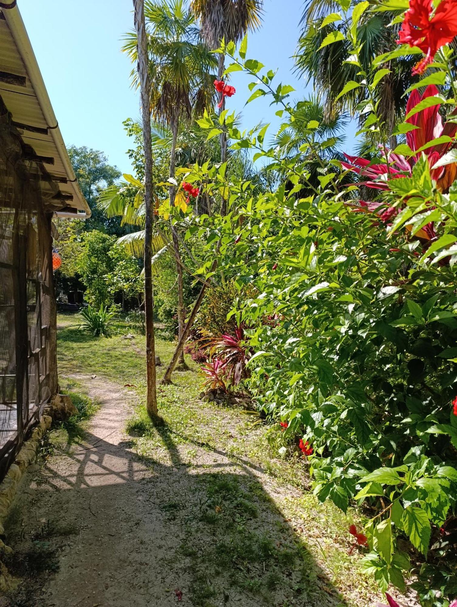 Chez Gigi - Eco Lodge มาอาอวล ภายนอก รูปภาพ